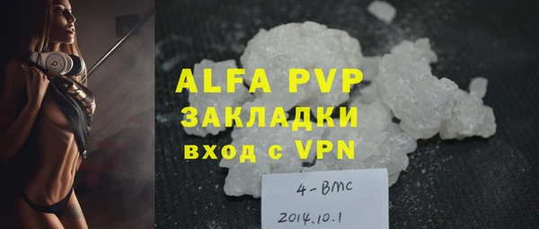ГАЛЛЮЦИНОГЕННЫЕ ГРИБЫ Новозыбков