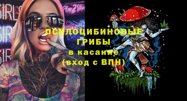стаф Михайлов