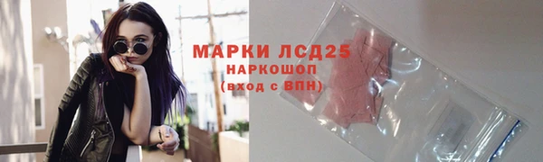 стаф Михайлов